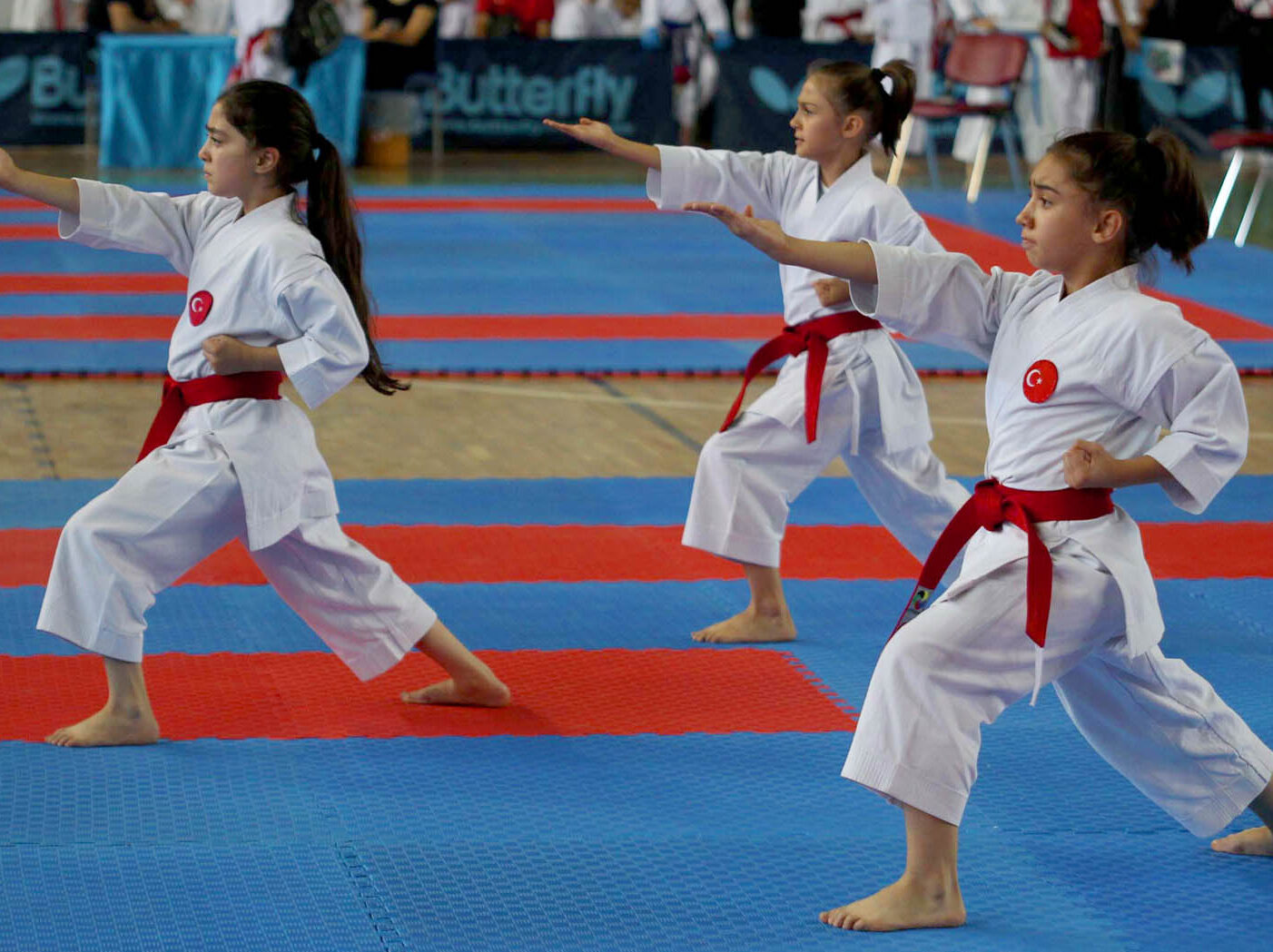 https://www.mdspor.com.tr/wp-content/uploads/2021/12/karate-okulu-e1640345930608.jpg